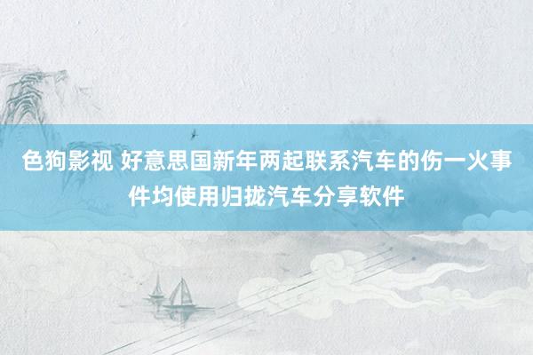   色狗影视 好意思国新年两起联系汽车的伤一火事件均使用归拢汽车分享软件
