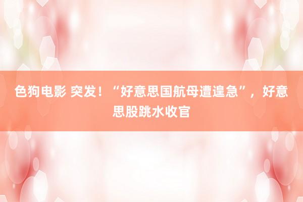   色狗电影 突发！“好意思国航母遭遑急”，好意思股跳水收官