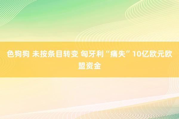   色狗狗 未按条目转变 匈牙利“痛失”10亿欧元欧盟资金