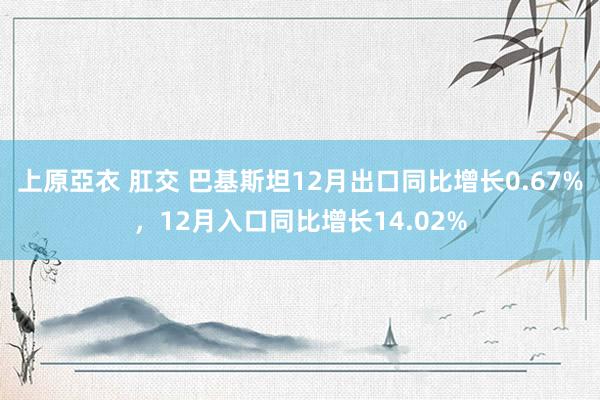   上原亞衣 肛交 巴基斯坦12月出口同比增长0.67%，12月入口同比增长14.02%