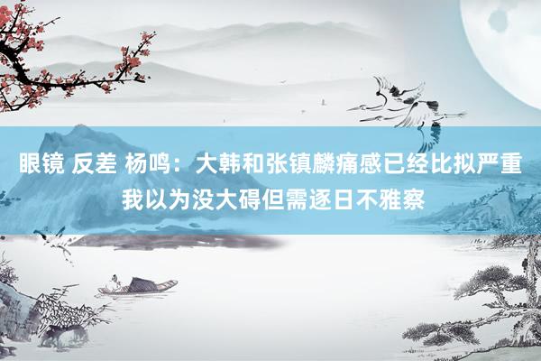   眼镜 反差 杨鸣：大韩和张镇麟痛感已经比拟严重 我以为没大碍但需逐日不雅察