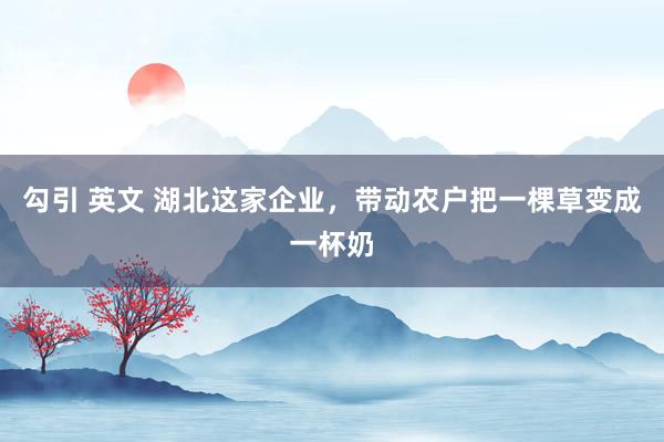   勾引 英文 湖北这家企业，带动农户把一棵草变成一杯奶