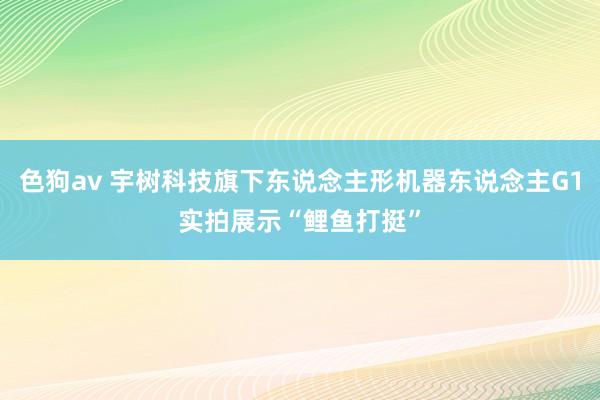   色狗av 宇树科技旗下东说念主形机器东说念主G1实拍展示“鲤鱼打挺”