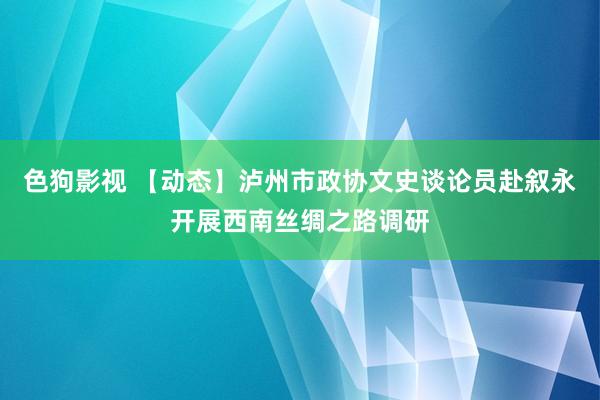  色狗影视 【动态】泸州市政协文史谈论员赴叙永开展西南丝绸之路调研