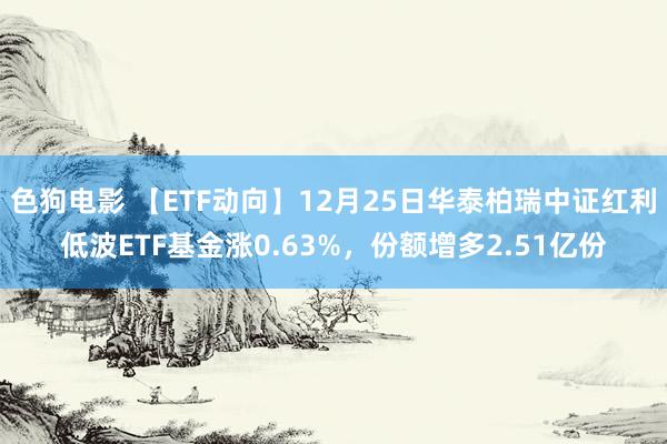   色狗电影 【ETF动向】12月25日华泰柏瑞中证红利低波ETF基金涨0.63%，份额增多2.51亿份