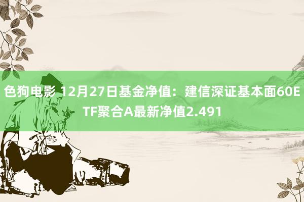   色狗电影 12月27日基金净值：建信深证基本面60ETF聚合A最新净值2.491