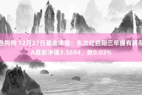   色狗狗 12月27日基金净值：东方红启阳三年握有羼杂A最新净值3.5694，跌0.03%