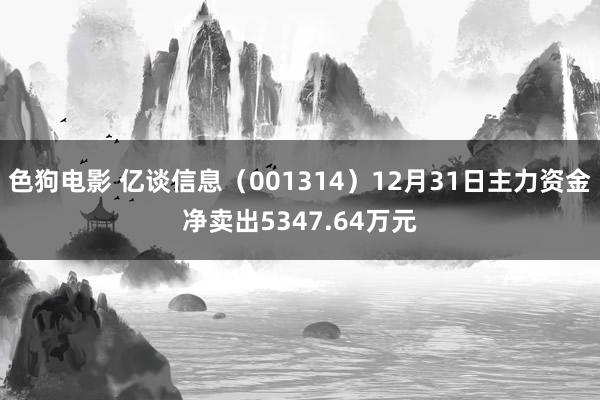   色狗电影 亿谈信息（001314）12月31日主力资金净卖出5347.64万元