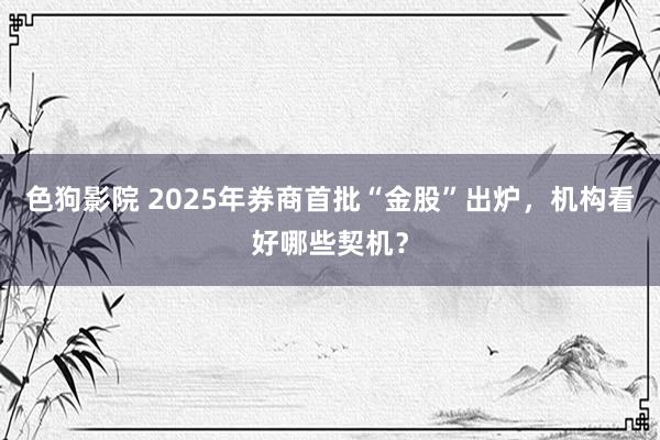   色狗影院 2025年券商首批“金股”出炉，机构看好哪些契机？