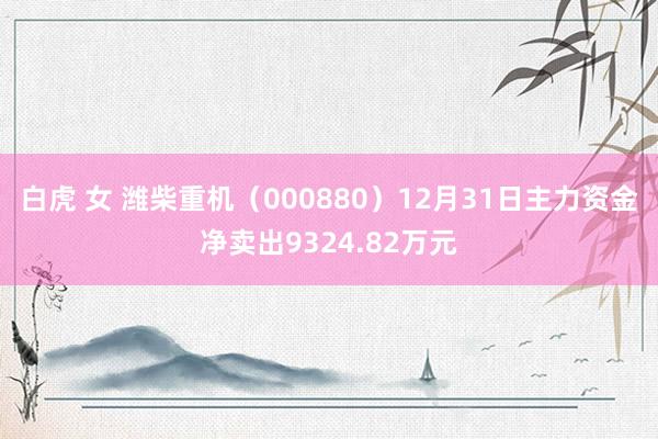   白虎 女 潍柴重机（000880）12月31日主力资金净卖出9324.82万元