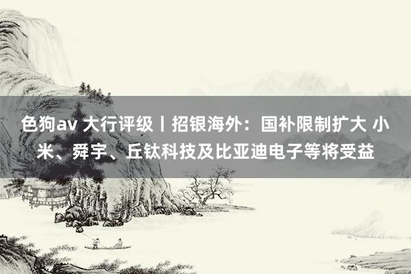   色狗av 大行评级丨招银海外：国补限制扩大 小米、舜宇、丘钛科技及比亚迪电子等将受益