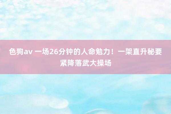  色狗av 一场26分钟的人命勉力！一架直升秘要紧降落武大操场