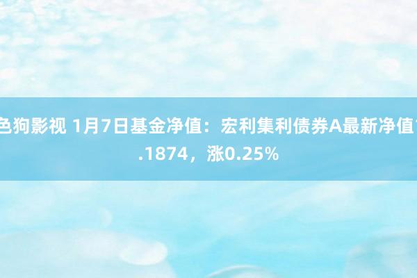   色狗影视 1月7日基金净值：宏利集利债券A最新净值1.1874，涨0.25%