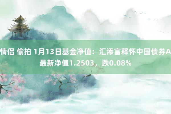   情侣 偷拍 1月13日基金净值：汇添富释怀中国债券A最新净值1.2503，跌0.08%