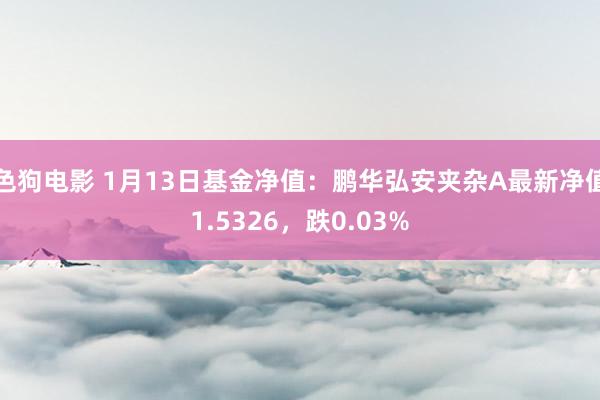   色狗电影 1月13日基金净值：鹏华弘安夹杂A最新净值1.5326，跌0.03%