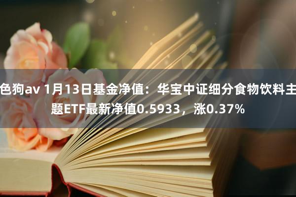   色狗av 1月13日基金净值：华宝中证细分食物饮料主题ETF最新净值0.5933，涨0.37%
