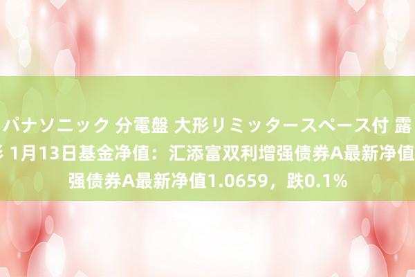   パナソニック 分電盤 大形リミッタースペース付 露出・半埋込両用形 1月13日基金净值：汇添富双利增强债券A最新净值1.0659，跌0.1%