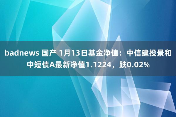   badnews 国产 1月13日基金净值：中信建投景和中短债A最新净值1.1224，跌0.02%