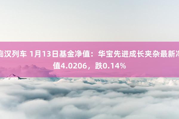   痴汉列车 1月13日基金净值：华宝先进成长夹杂最新净值4.0206，跌0.14%