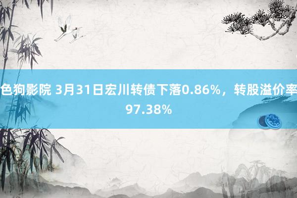   色狗影院 3月31日宏川转债下落0.86%，转股溢价率97.38%