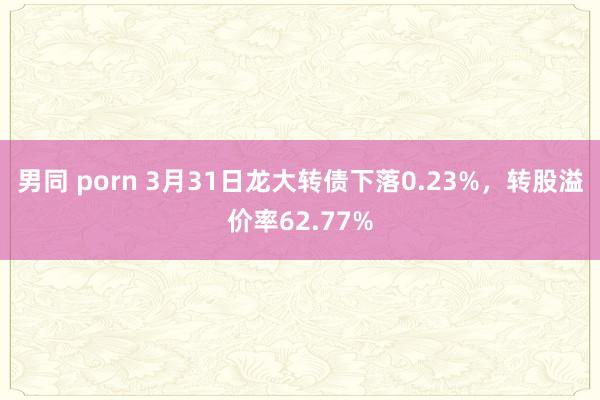   男同 porn 3月31日龙大转债下落0.23%，转股溢价率62.77%