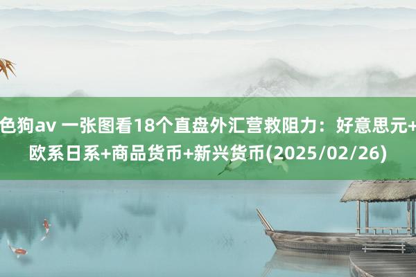   色狗av 一张图看18个直盘外汇营救阻力：好意思元+欧系日系+商品货币+新兴货币(2025/02/26)