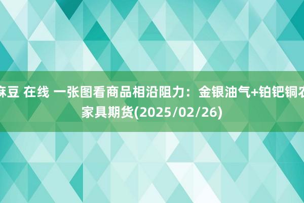   麻豆 在线 一张图看商品相沿阻力：金银油气+铂钯铜农家具期货(2025/02/26)