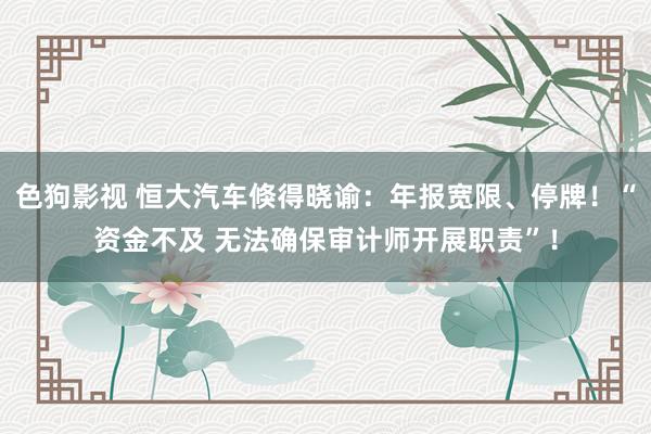   色狗影视 恒大汽车倏得晓谕：年报宽限、停牌！“资金不及 无法确保审计师开展职责”！