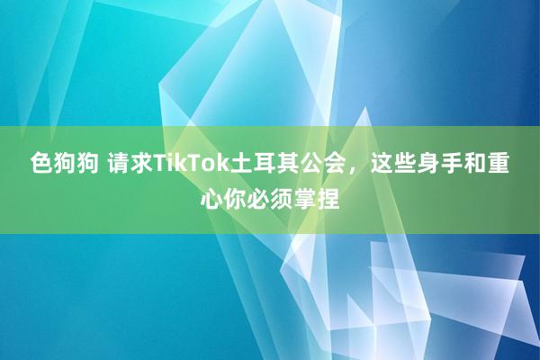   色狗狗 请求TikTok土耳其公会，这些身手和重心你必须掌捏