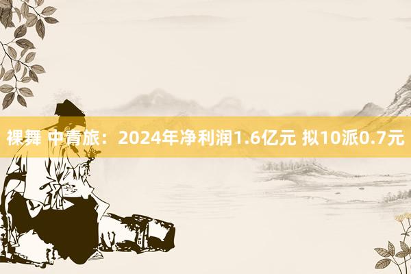   裸舞 中青旅：2024年净利润1.6亿元 拟10派0.7元