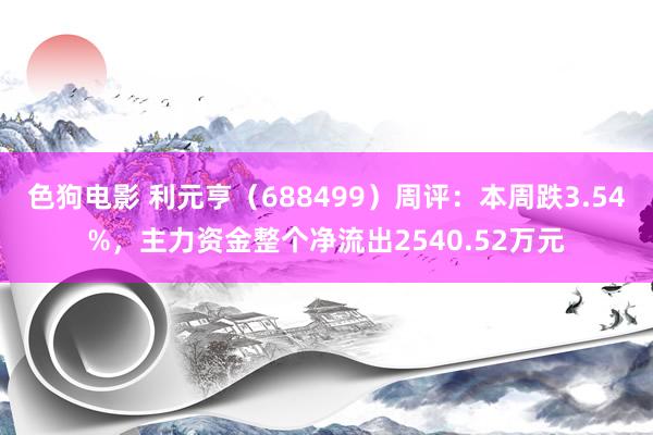   色狗电影 利元亨（688499）周评：本周跌3.54%，主力资金整个净流出2540.52万元