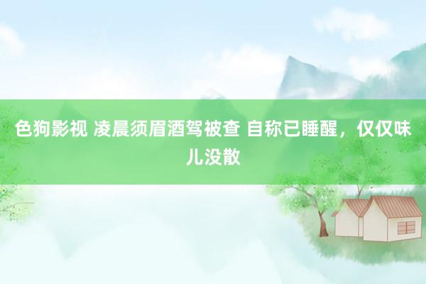   色狗影视 凌晨须眉酒驾被查 自称已睡醒，仅仅味儿没散