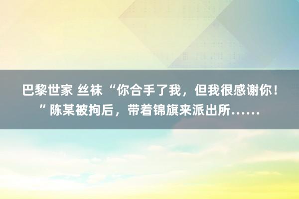   巴黎世家 丝袜 “你合手了我，但我很感谢你！”陈某被拘后，带着锦旗来派出所……