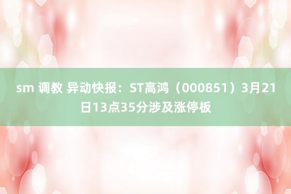   sm 调教 异动快报：ST高鸿（000851）3月21日13点35分涉及涨停板