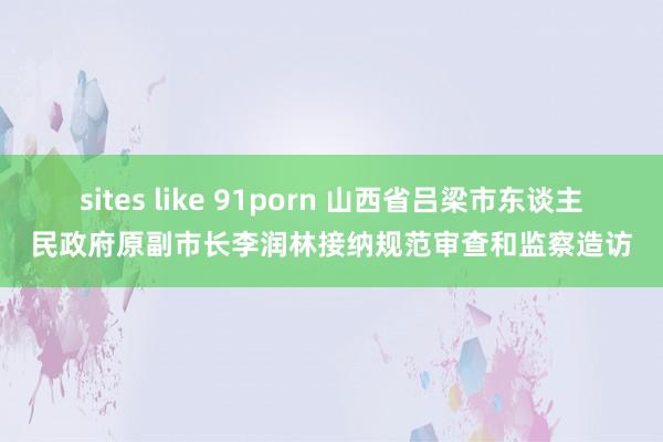   sites like 91porn 山西省吕梁市东谈主民政府原副市长李润林接纳规范审查和监察造访