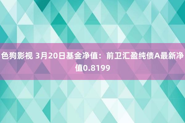   色狗影视 3月20日基金净值：前卫汇盈纯债A最新净值0.8199