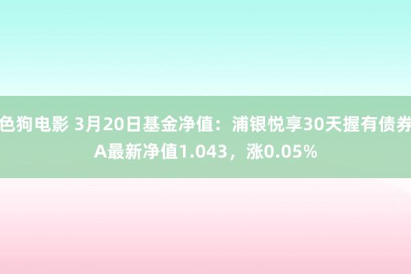   色狗电影 3月20日基金净值：浦银悦享30天握有债券A最新净值1.043，涨0.05%