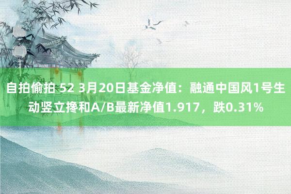   自拍偷拍 52 3月20日基金净值：融通中国风1号生动竖立搀和A/B最新净值1.917，跌0.31%