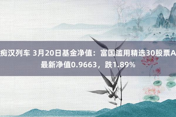   痴汉列车 3月20日基金净值：富国滥用精选30股票A最新净值0.9663，跌1.89%