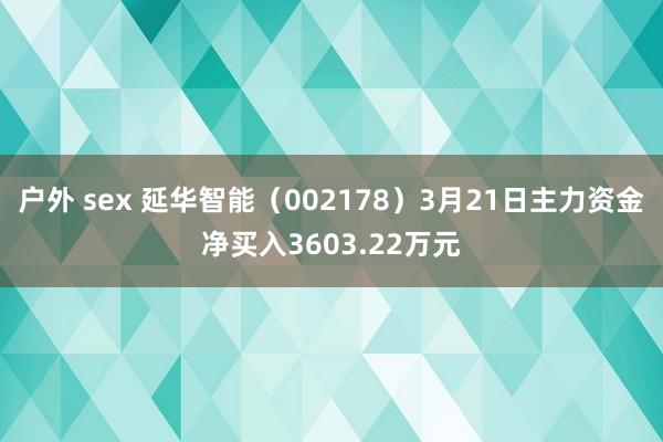  户外 sex 延华智能（002178）3月21日主力资金净买入3603.22万元