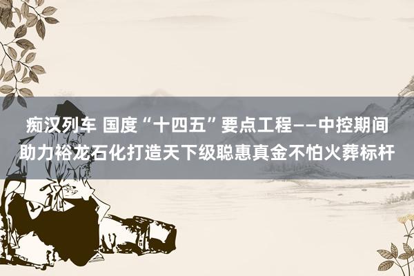   痴汉列车 国度“十四五”要点工程——中控期间助力裕龙石化打造天下级聪惠真金不怕火葬标杆