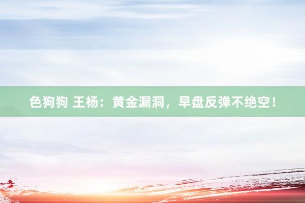   色狗狗 王杨：黄金漏洞，早盘反弹不绝空！