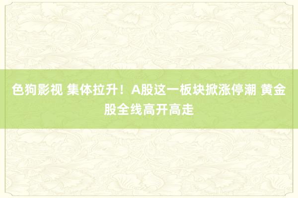   色狗影视 集体拉升！A股这一板块掀涨停潮 黄金股全线高开高走
