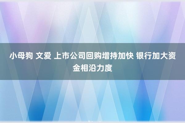   小母狗 文爱 上市公司回购增持加快 银行加大资金相沿力度