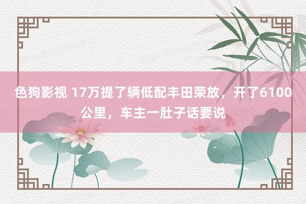   色狗影视 17万提了辆低配丰田荣放，开了6100公里，车主一肚子话要说