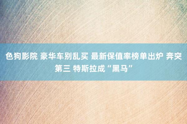   色狗影院 豪华车别乱买 最新保值率榜单出炉 奔突第三 特斯拉成“黑马”