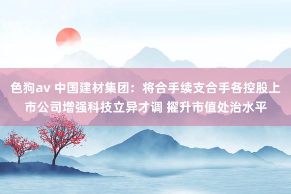   色狗av 中国建材集团：将合手续支合手各控股上市公司增强科技立异才调 擢升市值处治水平