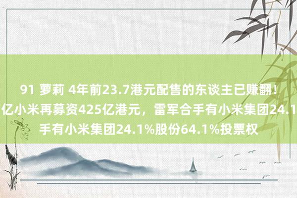  91 萝莉 4年前23.7港元配售的东谈主已赚翻！史上最强年报后，万亿小米再募资425亿港元，雷军合手有小米集团24.1%股份64.1%投票权