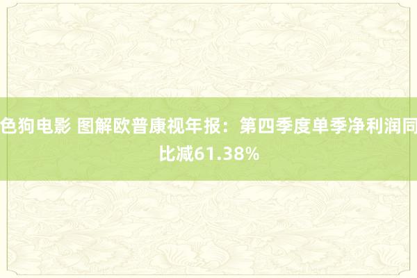   色狗电影 图解欧普康视年报：第四季度单季净利润同比减61.38%