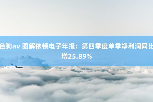   色狗av 图解依顿电子年报：第四季度单季净利润同比增25.89%